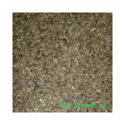 牵牛子 统粒 产地 甘肃省定西市陇西县