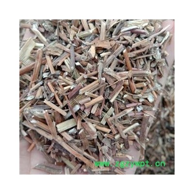 夏枯草 优质 统 产地 河南省周口市商水县