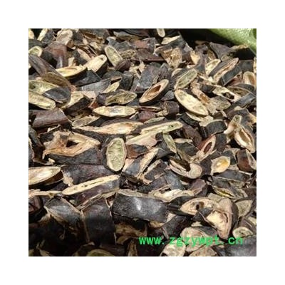 大皂角 统货，无蛀虫无霉变 产地 山东省滨州市邹平县