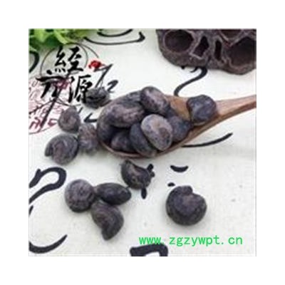 马槟榔B 屈头鸡  马金南 马金囊 紫槟榔 山槟榔  马槟榔统货 产地 云南省