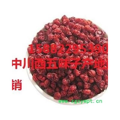 中川西五味子   产地辽宁   库存5000可售