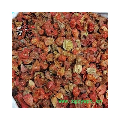 锦灯笼C 挂金灯 灯笼草 灯笼果 洛神珠 泡泡草 鬼灯 菇蔫儿 红姑娘 锦灯笼统货 产地 四川省