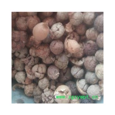 草豆蔻 云南草豆蔻统货 产地 云南省丽江市
