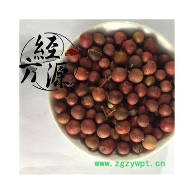 南天竹子B 天竺子 统 产地 江苏省