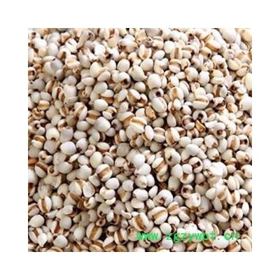 薏苡仁 选 95 产地 贵州省遵义市余庆县