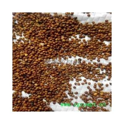 吐丝子 选货 产地 内蒙古自治区鄂尔多斯市鄂托克前旗