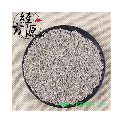 巨胜子A 白巨胜 白苣胜 生菜子 统