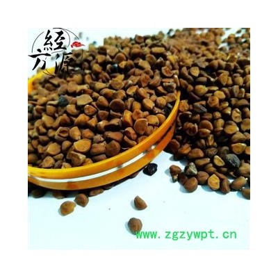 牵牛子白丑T 正品 颗粒饱满 统货