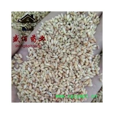 柏仁 柏子仁，优质 产地 山东省潍坊市青州市