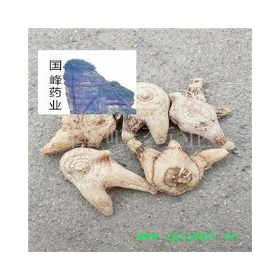 白芨 三叉白及选个 产地 云南省