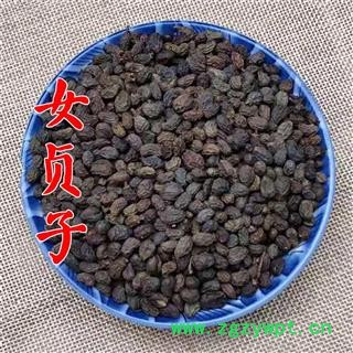 女贞子 净货 产地 河南省 5斤运费6元 女贞子 净货 产地 河南省 5斤运费6元