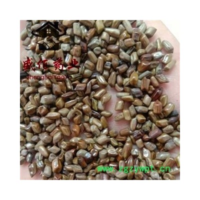 决明子 统 产地 广西壮族自治区贵港市平南县