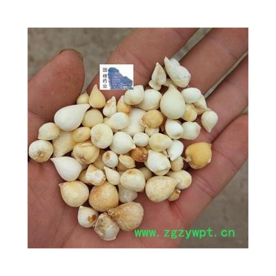 山慈菇 光慈姑 纯干货 国峰药业 重在品质 产地 云南省