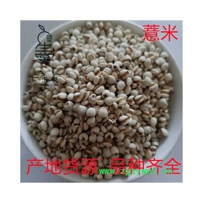 产地直销薏米 国产小粒薏苡仁 无硫磺 足干 无虫蛀 产地 贵州省