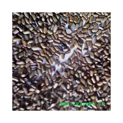 决明子，草决明， 进口决明子，统货 产地 海外