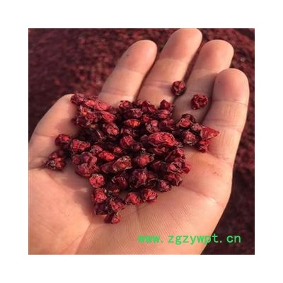 东北五味子辽五味子2021年秋北五味子无硫磺优质药材