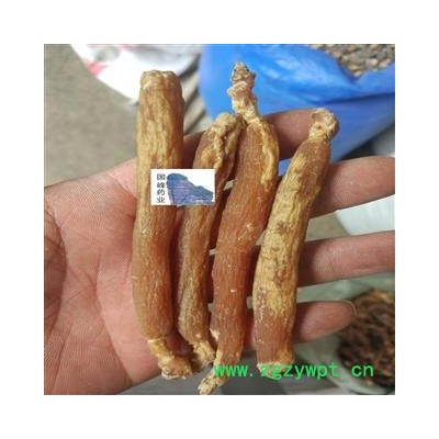 红参 低糖 35支=500克 国峰药业 重在品质 产地 吉林省