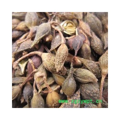 生晒连翘 统 无硫 产地 陕西省商洛市柞水县 库存 4000公斤可售