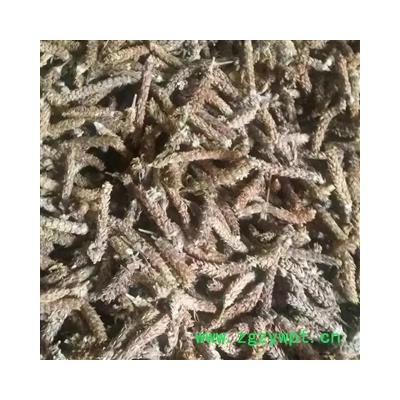 夏枯球 选 产地 安徽省淮北市烈山区