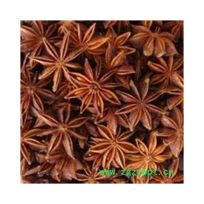 八角茴香 选 产地 广西壮族自治区梧州市万秀区