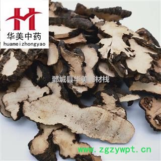 猪苓@【华美中药】中药材批发供应【猪苓】