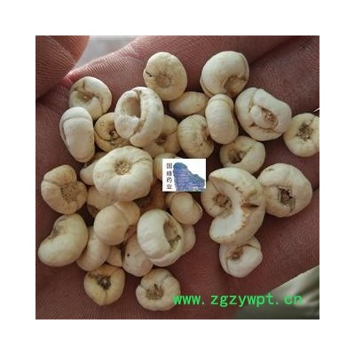 平贝母 贝母 大选纯干货 国峰药业 重在品质 产地 吉林省