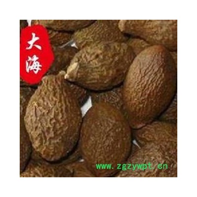 胖大海 胖大海圆粒统货 产地 海外