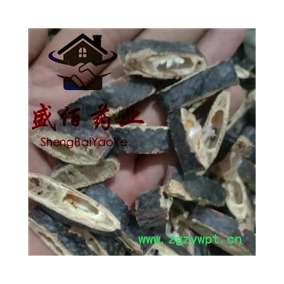 皂角 优质手剪 产地 山东省滨州市惠民县