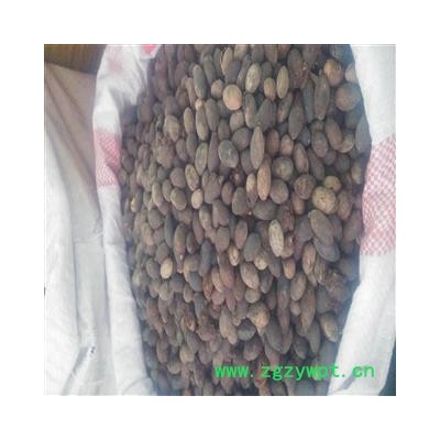 葵树子 统 产地 广西壮族自治区贵港市平南县