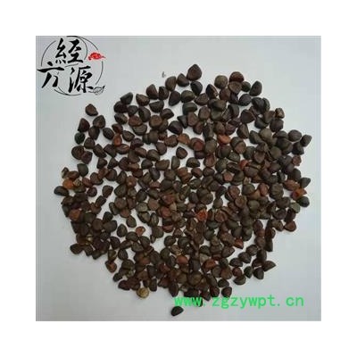 牵牛子黑丑T 正品  产地河南