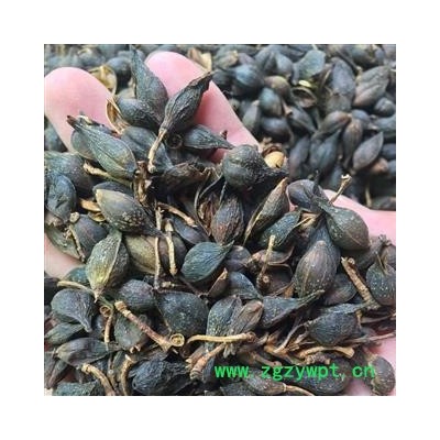 亳州花田错药业连翘 统