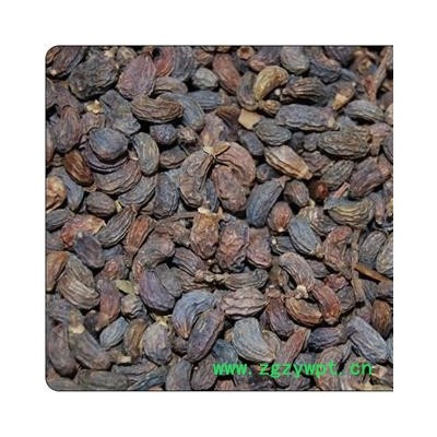 【录建药业】新货女贞子1000克 产地直销 重在品质 过筛无杂质  药劲十足  规格齐全 批发零售抓方打粉