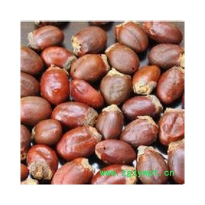 【录建药业】新货荔枝核1000克 颗粒饱满  产地直销 重在品质 过筛无杂质  规格齐全 批发零售抓方打粉