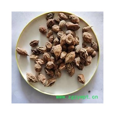 益智仁 益智统货 产地 海南省