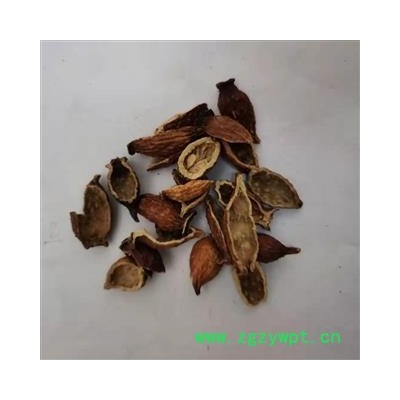 金樱子 金樱子肉后期选货去核率98%以上 产地 江西省