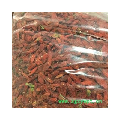 亳州花田错药业 枸杞  药用 枸杞