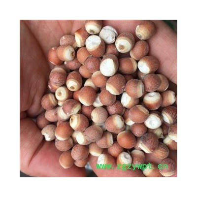 茗生春 芡实 整粒  1.0   支持打粉  包退包换