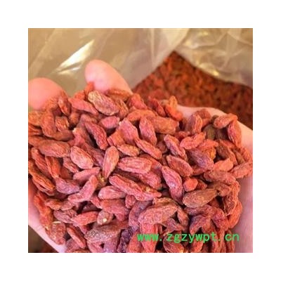 茗生春生物科技   药厂泡酒专用   枸杞 统 产地 宁夏回族自治区
