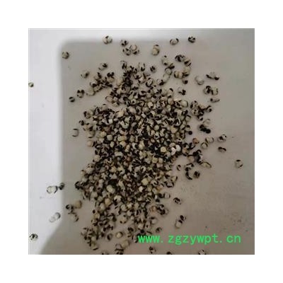 炒王不留行 河北王不留行选货 产地 河北省