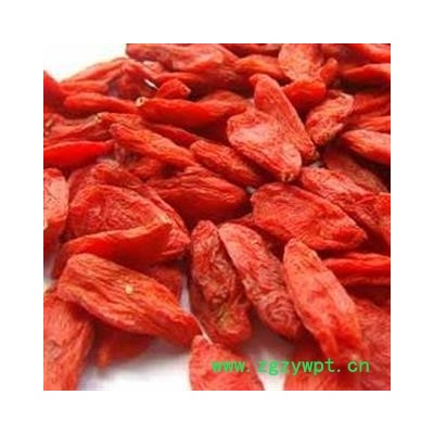 【录建药业】枸杞 180粒 产地 宁夏回族自治区中卫市中宁县