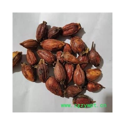 【福建栀子】【润泽中药】中药材批发供应规格齐全量大从优