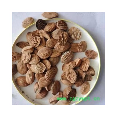 桃仁 扁桃仁统货 产地 河南省