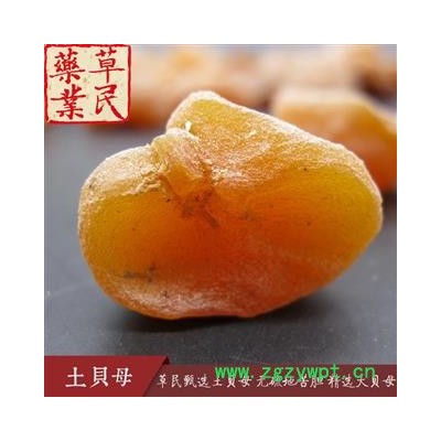 草民甄选土贝母 无硫地苦胆 精选大贝母 干度好 实物如图 专营冷备量大从优