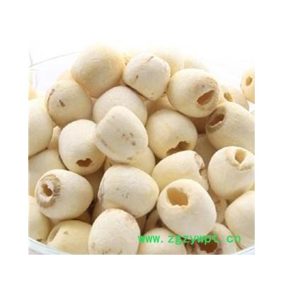 茗生春生物科技    白莲子 选 产地 湖南省湘潭市岳塘区