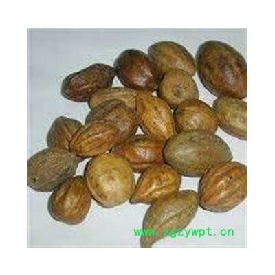 【录建药业】新货柯子1000克 产地直销 重在品质 过筛无杂质 味道浓郁 药劲十足  规格齐全 批发零售抓方打粉