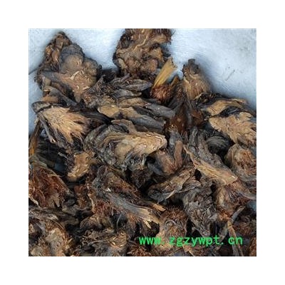 贯众 新货 颜色好 纯干货 无虫蛀 小峰药业 重在品质 产地 四川省