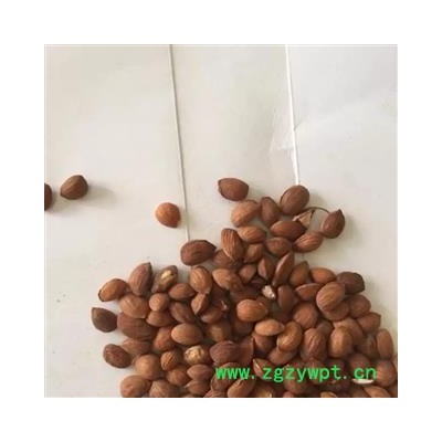 亳州花田错药业  山桃仁 统 产地 山西省