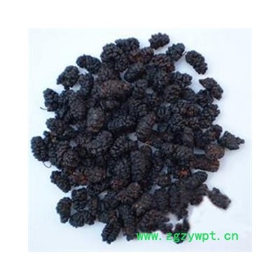 【录建药业】新货桑椹子1000克 产地直销 重在品质  干净无杂质   规格齐全 批发零售抓方打粉