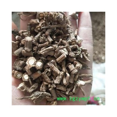 柴胡 柴胡 产地 甘肃省