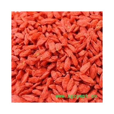 【录建药业】枸杞 颗粒饱满产地 宁夏回族自治区中卫市中宁县